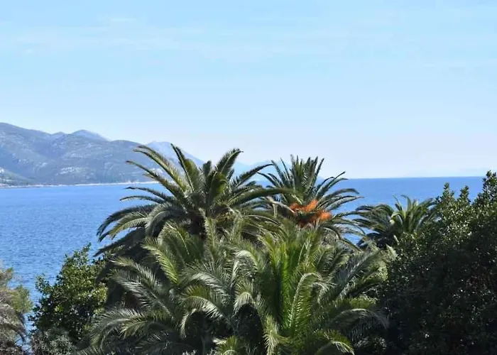 In - Peljesac 43535 Apartment *